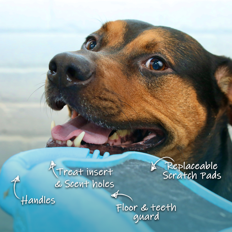 Shop Scratch Square for Dogs De Vora Pet Products